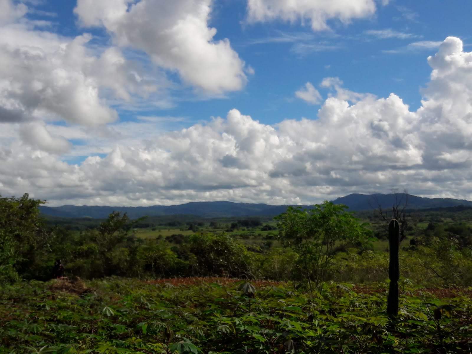 The distant hills