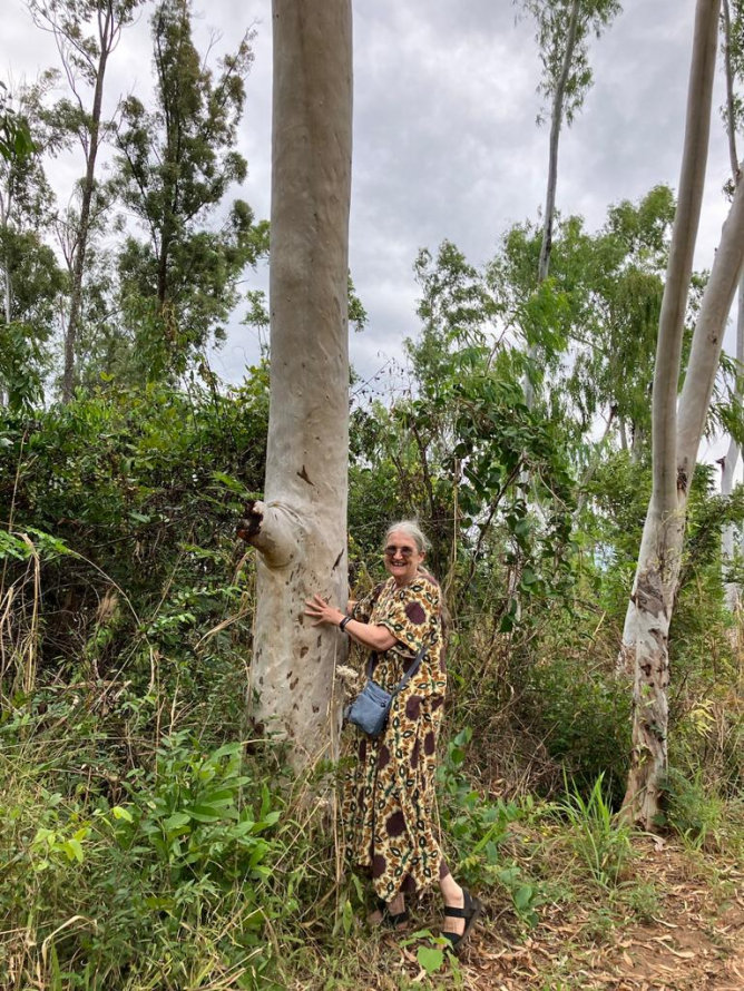 Still trees left to hug